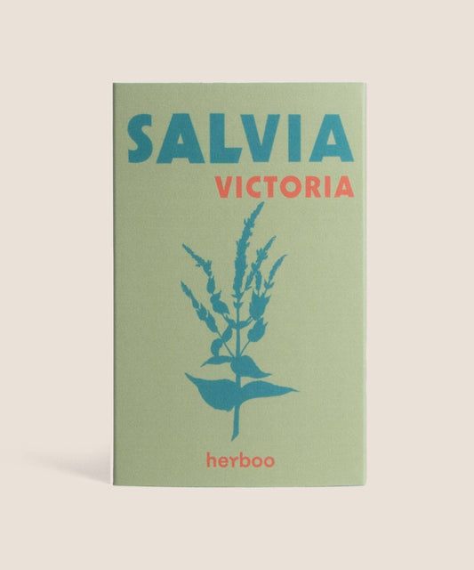 Herboo - Salvia Farinacea 'Victoria Blue' Seeds