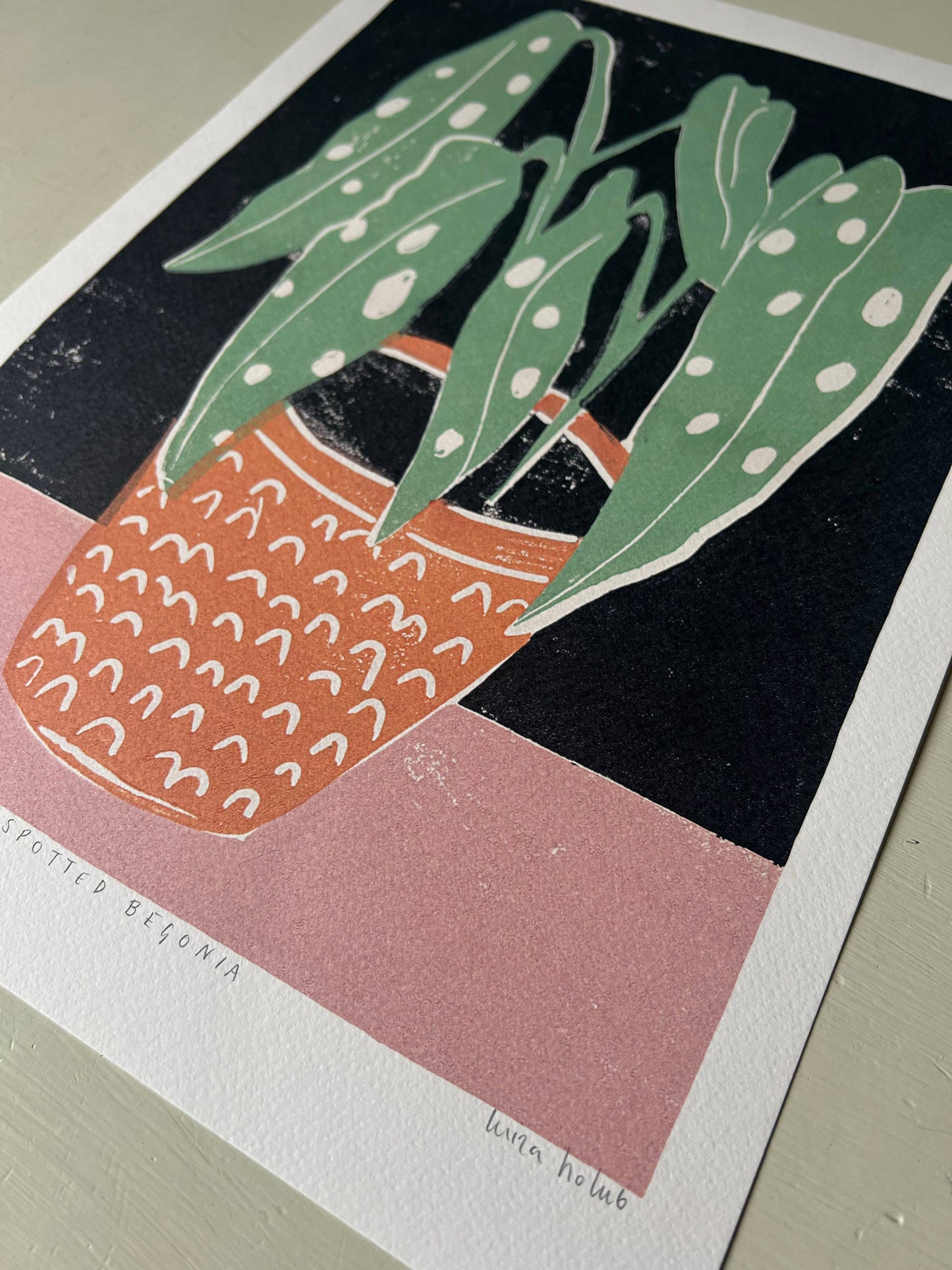 Luiza Holub - Art Print 'Spotted Begonia' Wall Art