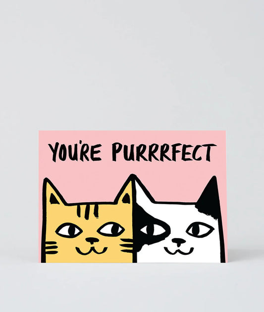 You’re Purrrfect