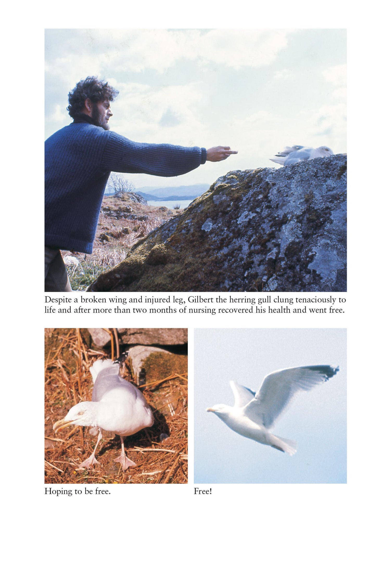 BETWEEN EARTH AND PARADISE: AN ISLAND LIFE