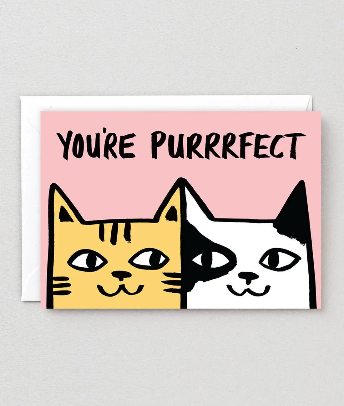 You’re Purrrfect