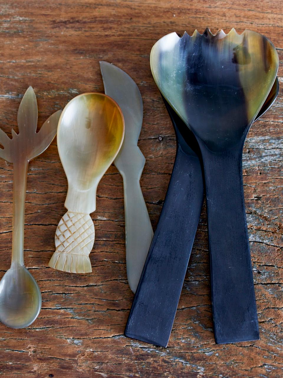 Ayanna Spoon, Nature, Horn