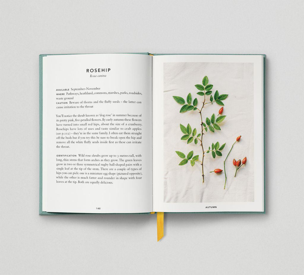 The Urban Forager: Find and Cook Wild Food in the City