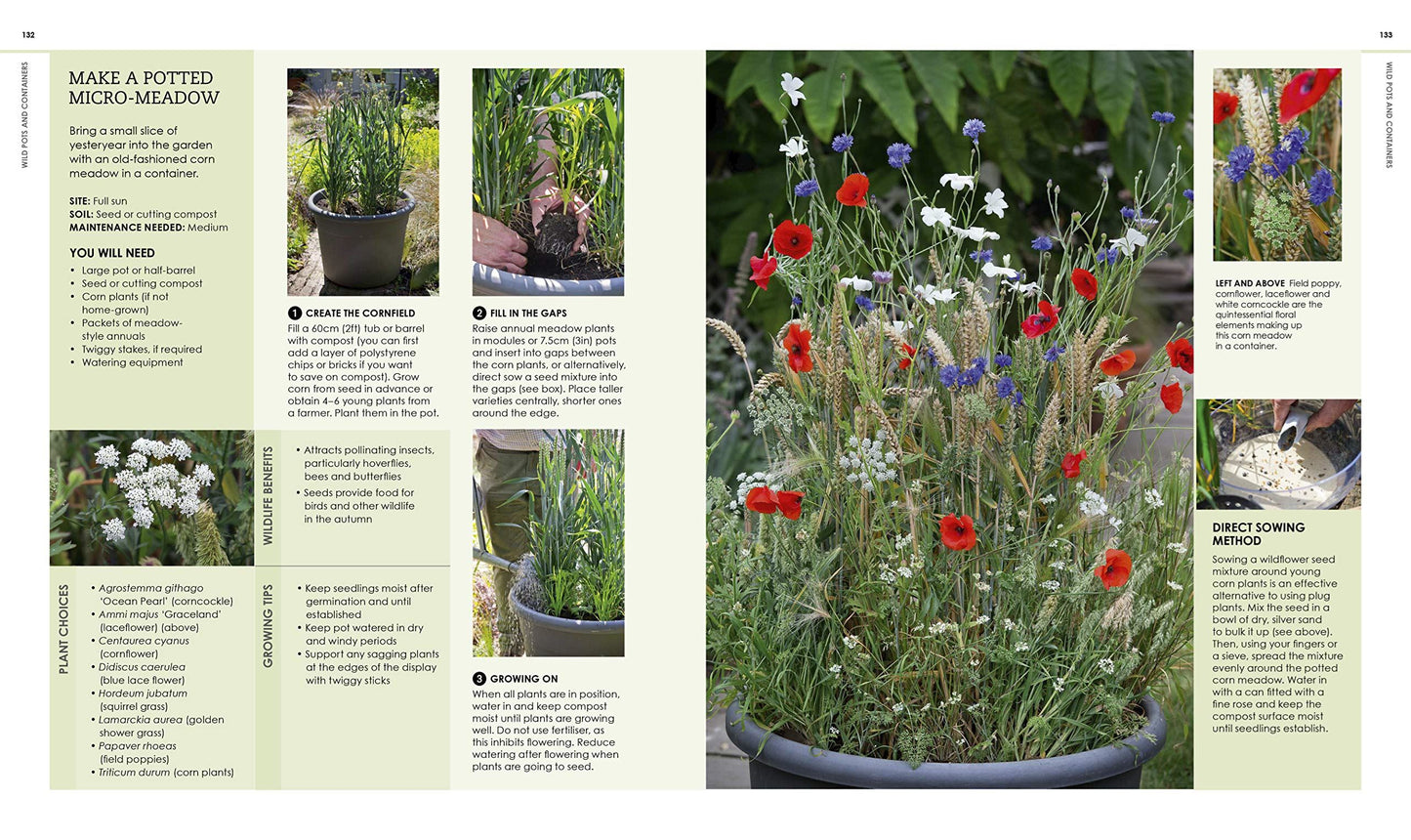 New Wild Garden