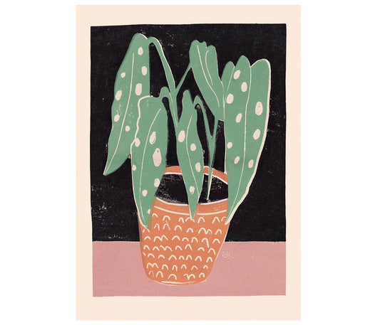 Luiza Holub - Art Print 'Spotted Begonia' Wall Art