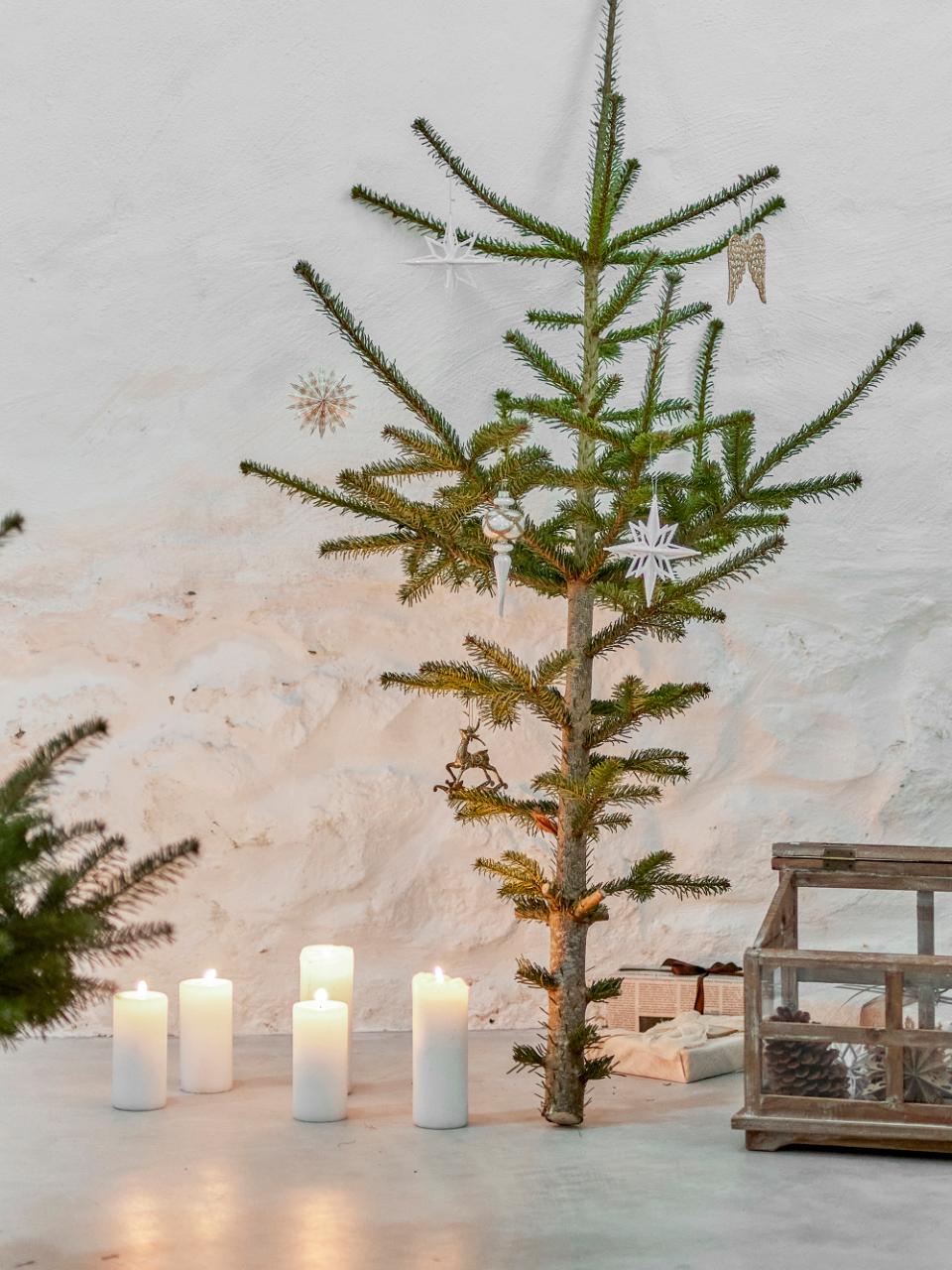 Star Ornament, Nature, FSC® Mix, Paper, Set of 6