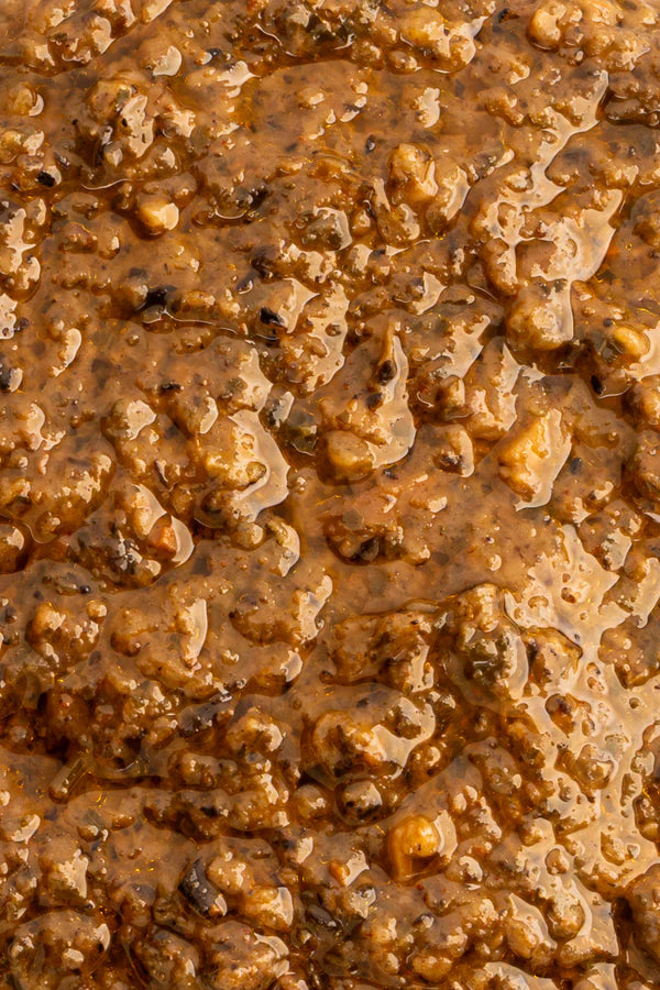 The Saucerer Wild Mushroom & Truffle Oil Pasta Sauce