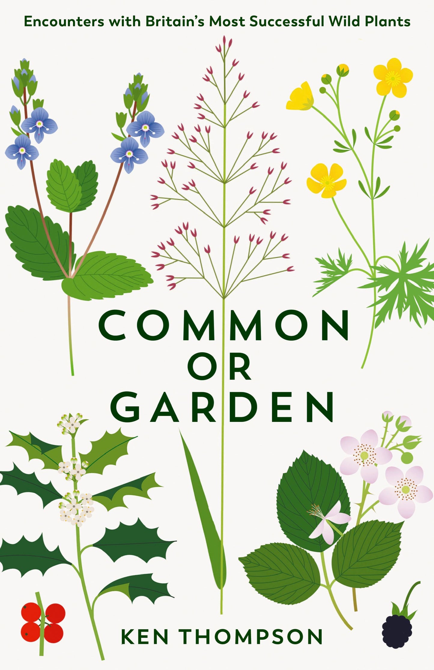 COMMON OR GARDEN