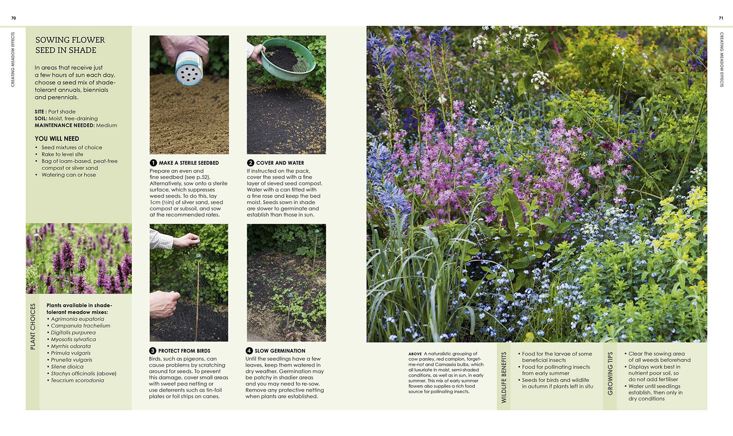 New Wild Garden