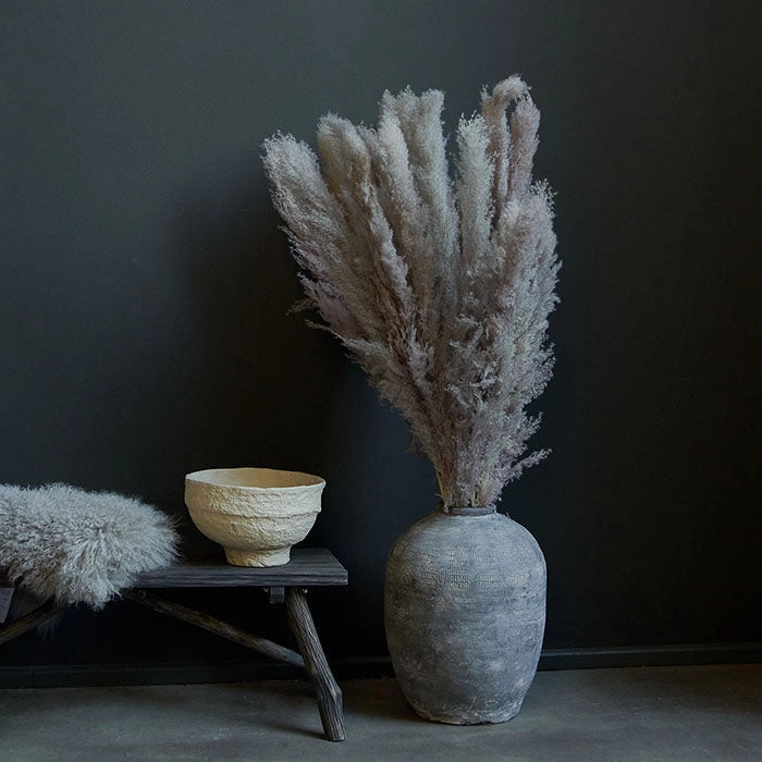 Dried Wild Pampas Grass