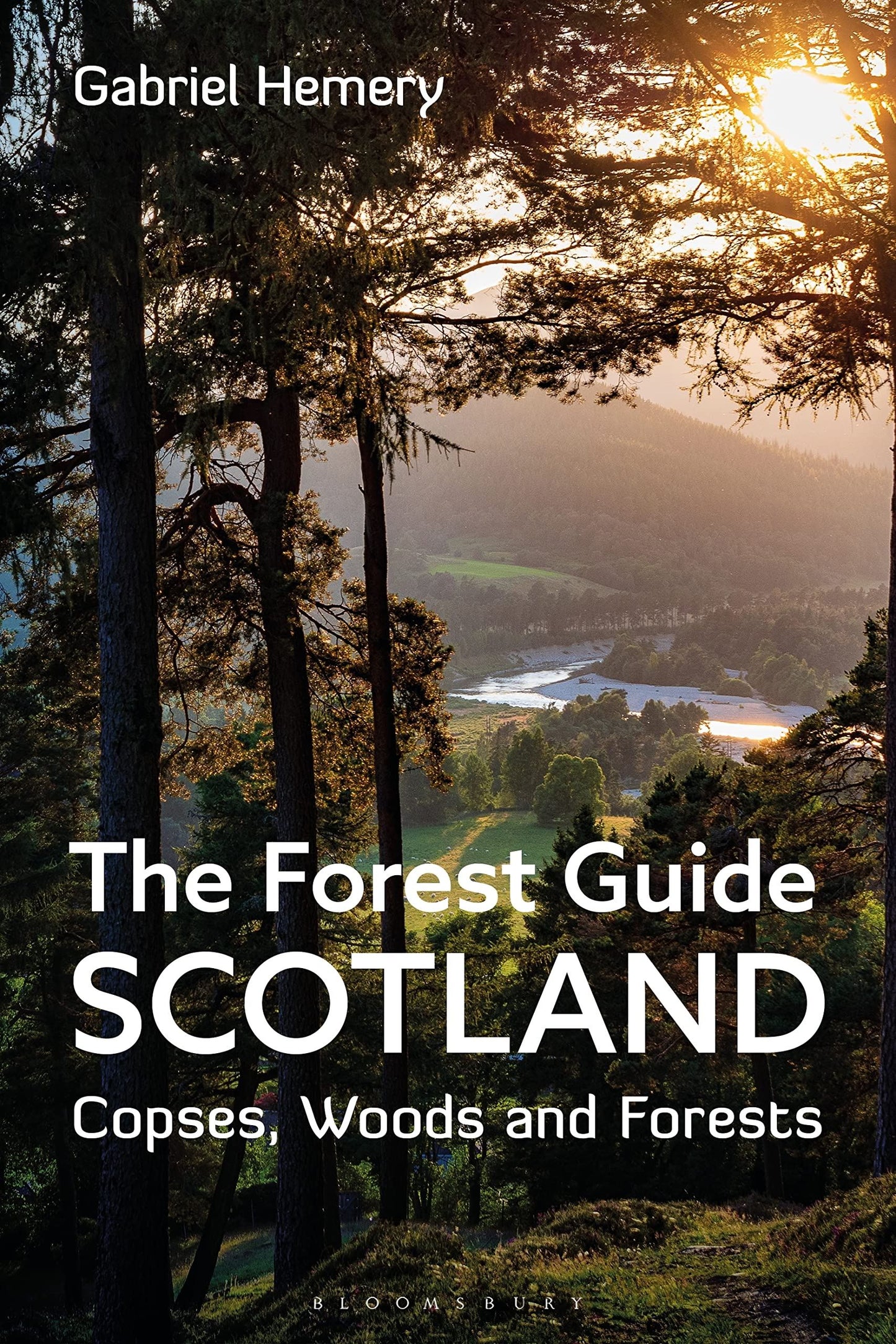 FOREST GUIDE SCOTLAND: COPSES WOODS AND FORESTS