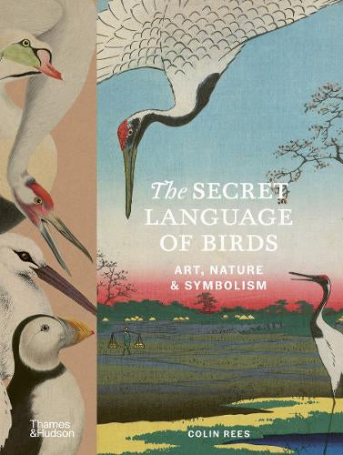 The Secret Language of Birds Art, Nature & Symbolism