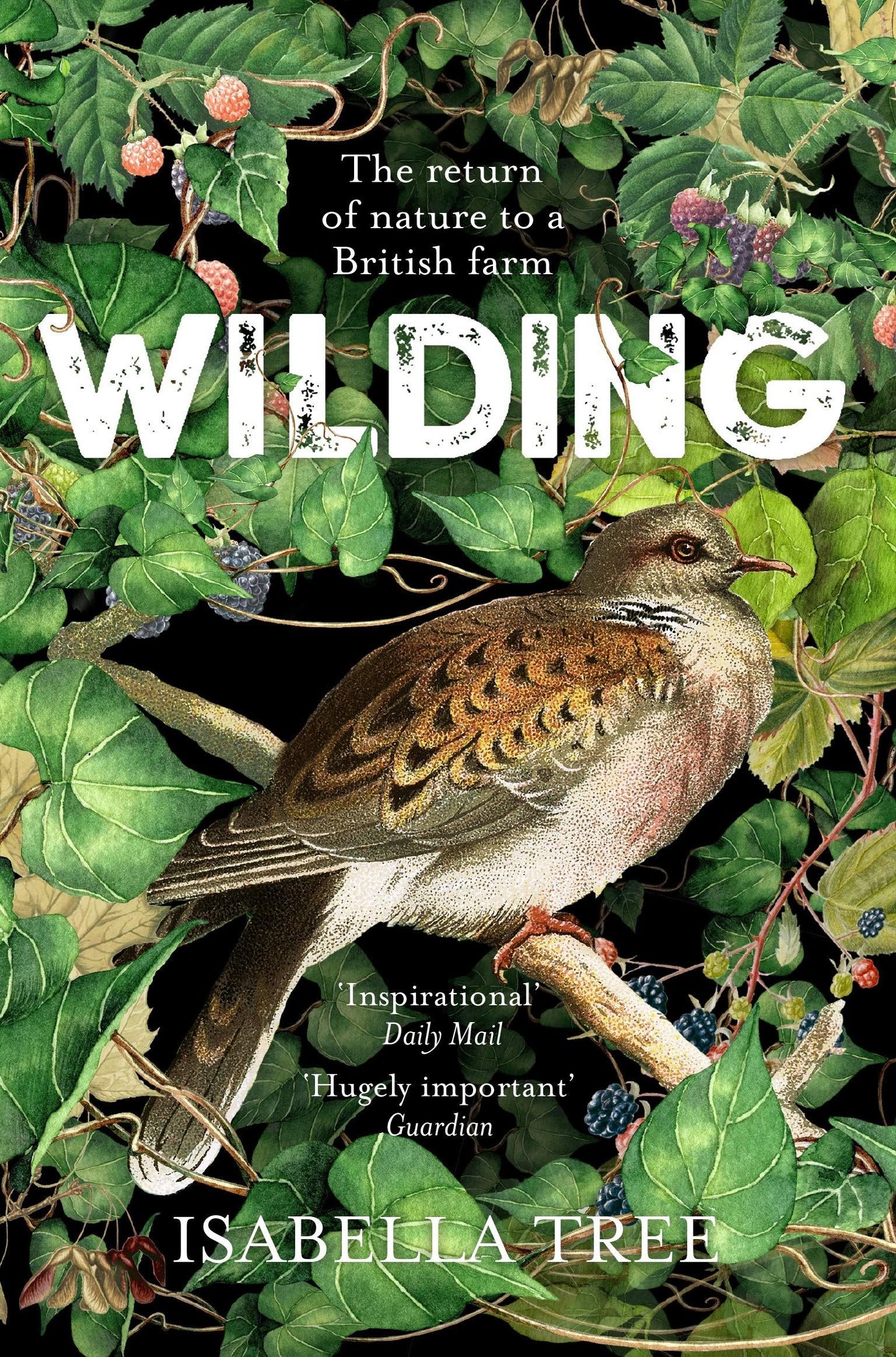 Wilding - The Return of Nature to a British Farm