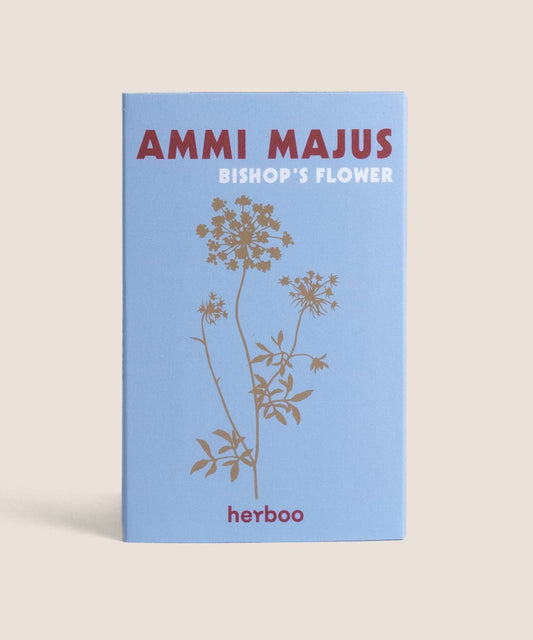 Herboo - Ammi Majus Seeds
