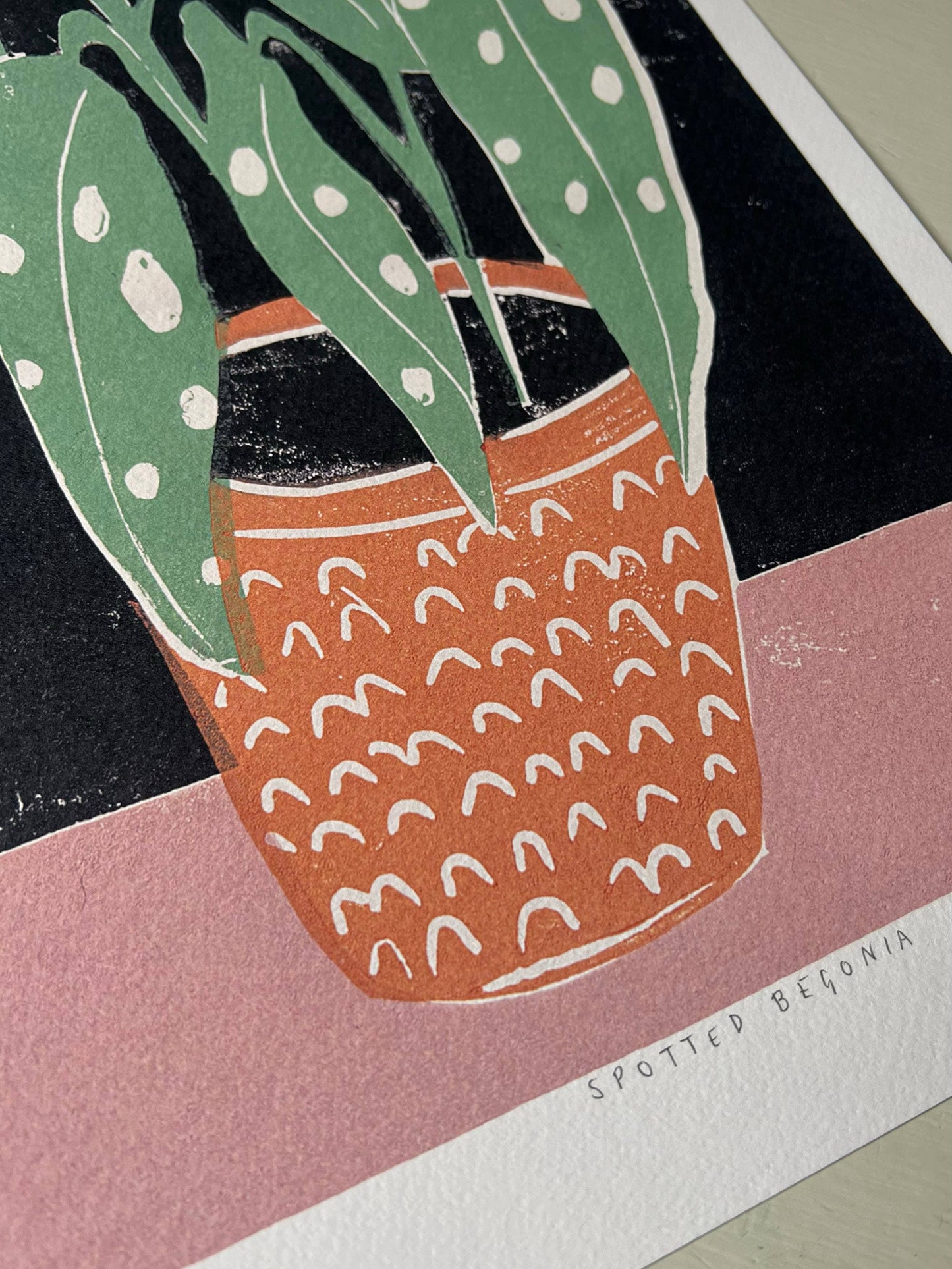 Luiza Holub - Art Print 'Spotted Begonia' Wall Art