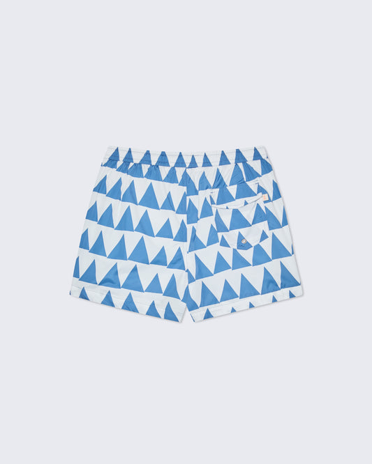 FONTES, Swim Shorts, Indigo Triangles