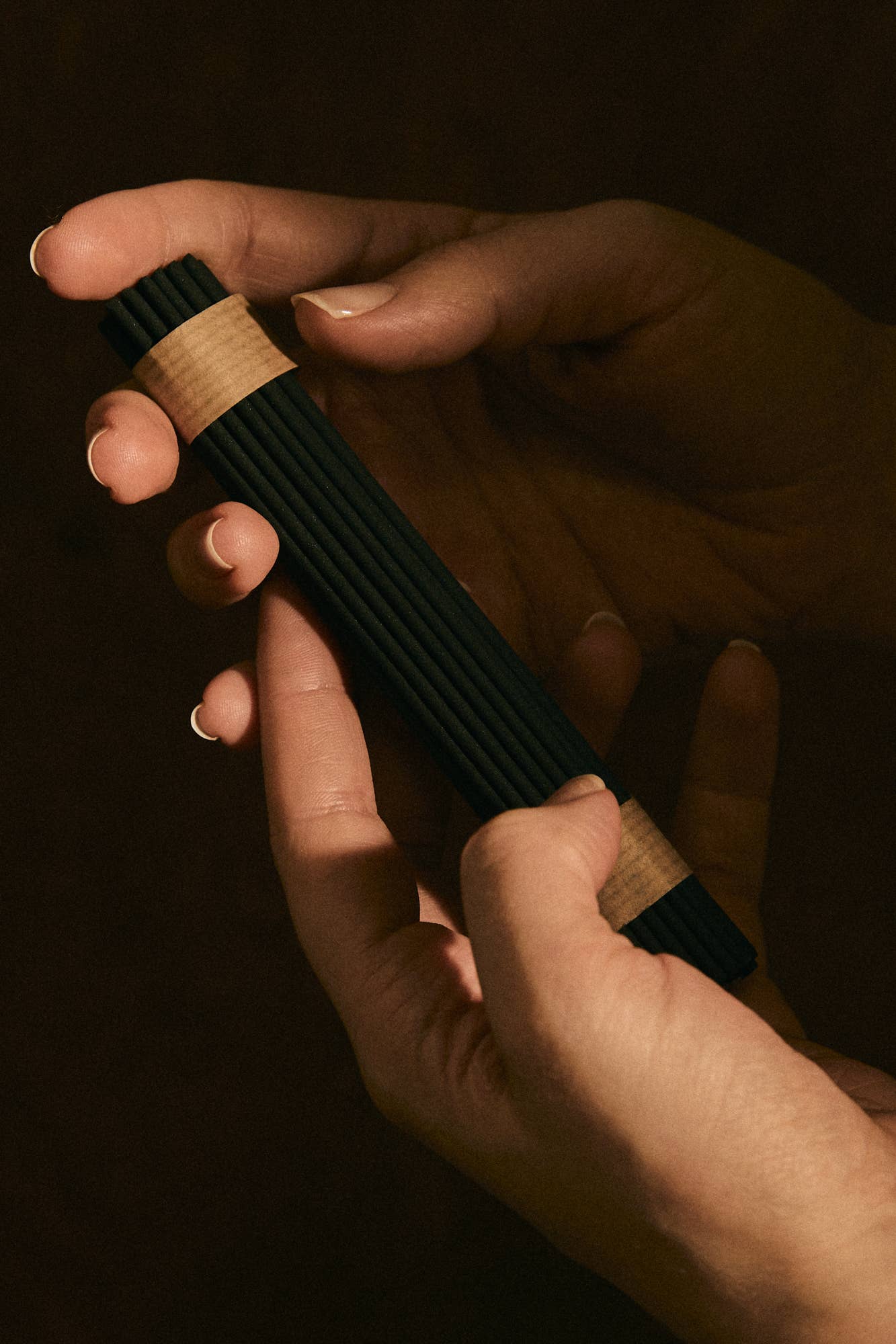 Earl of East - Shinrin-Yoku | Made in Japan Incense Sticks