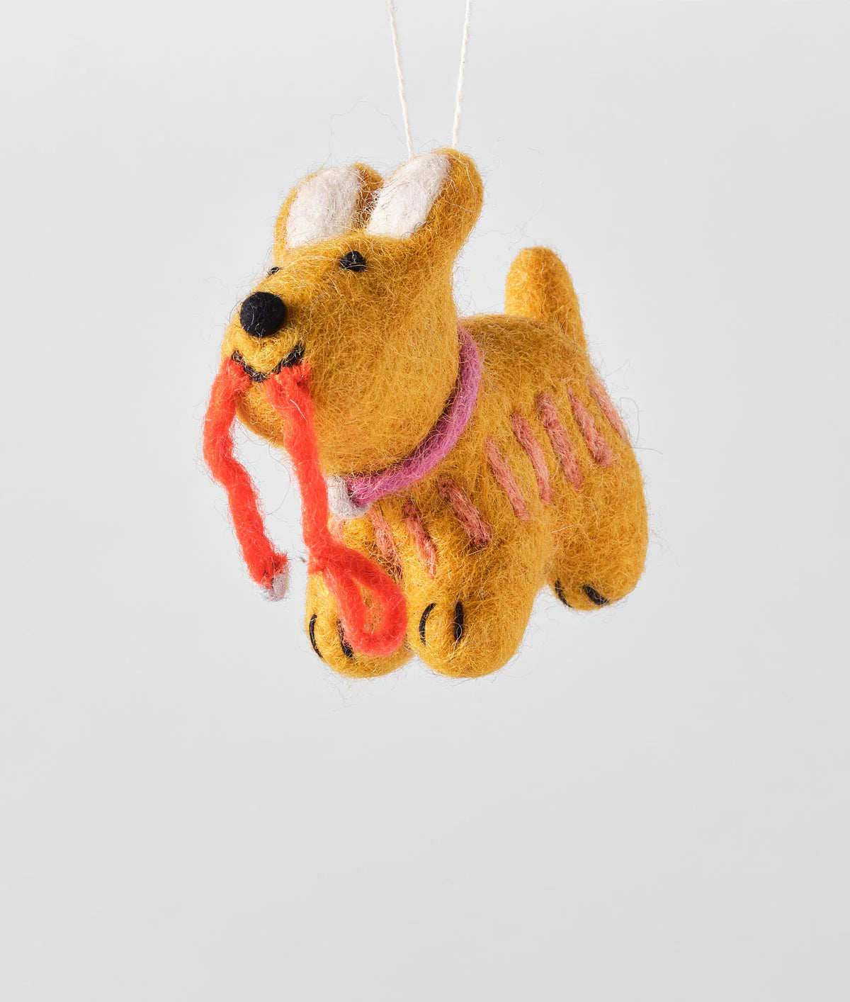 Ginger, Dog with lead