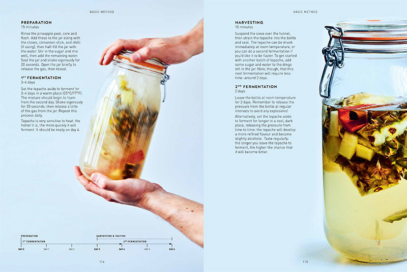Kombucha, Kefir & Natural Sodas. A Simple Guide for Creating Your Own
