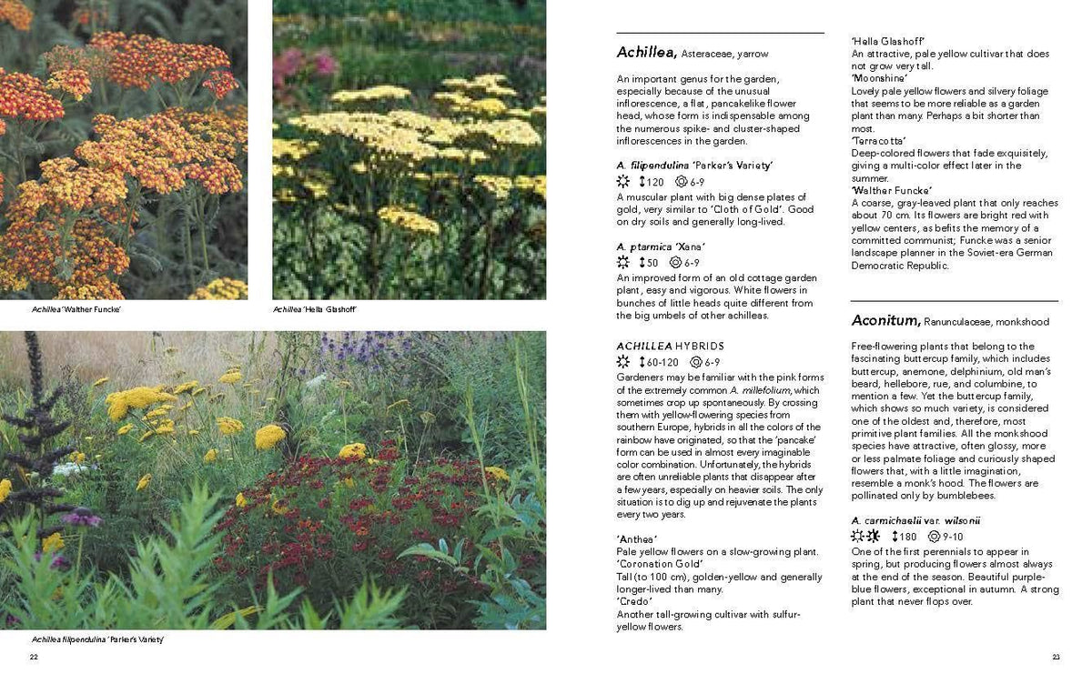 Planting the Natural Garden