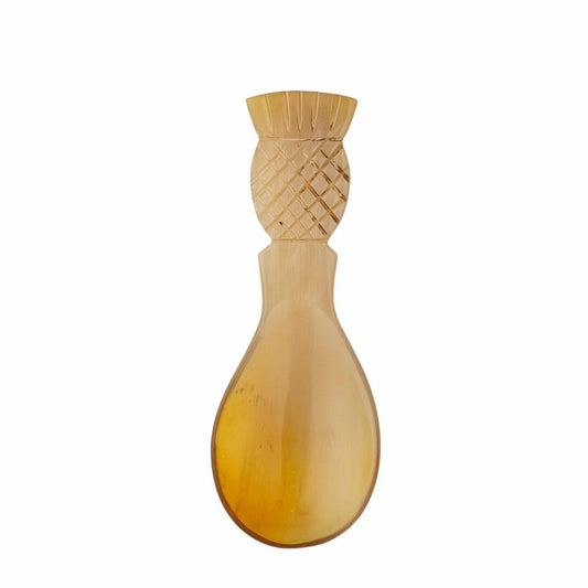 Ayanna Spoon, Nature, Horn