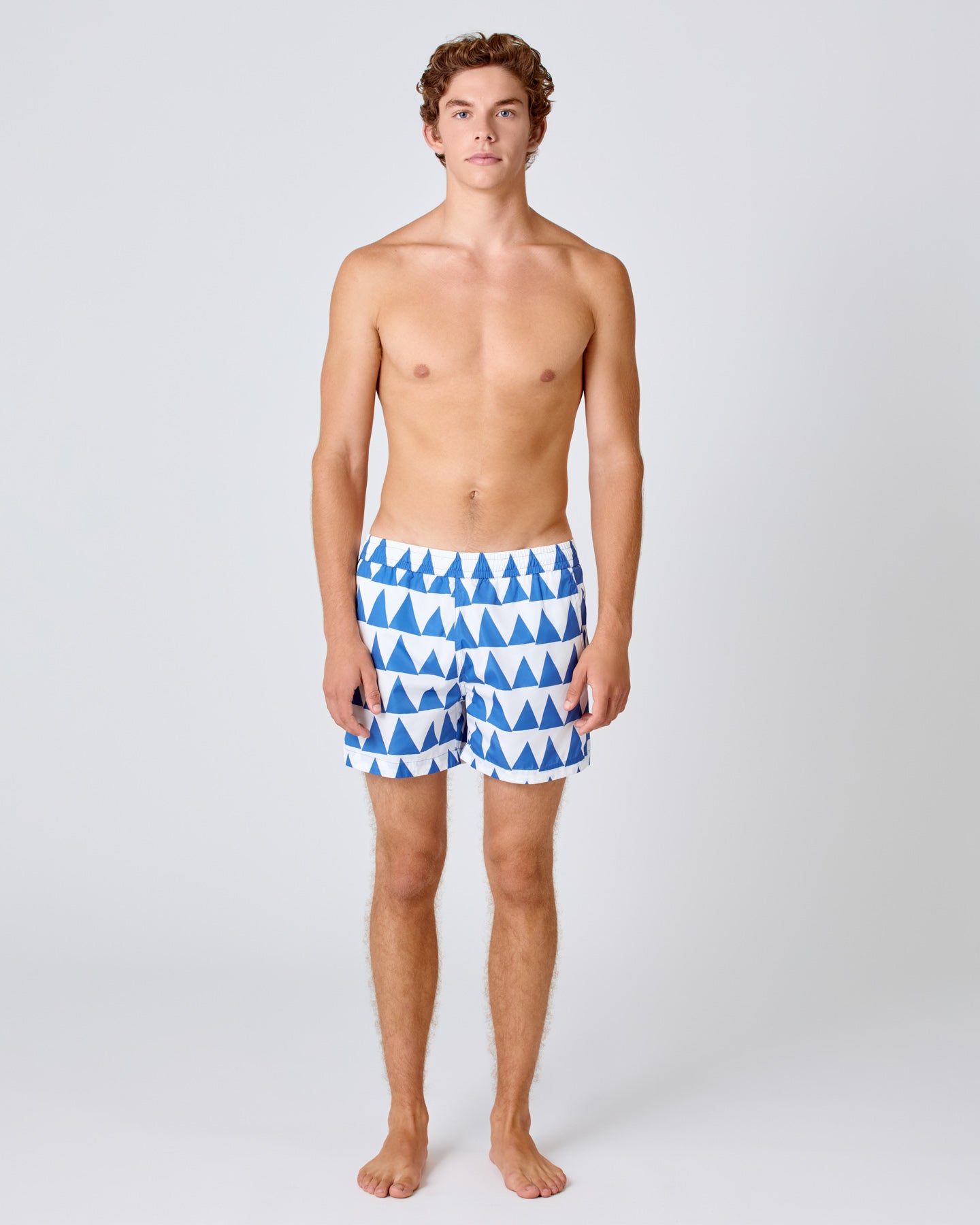 FONTES, Swim Shorts, Indigo Triangles