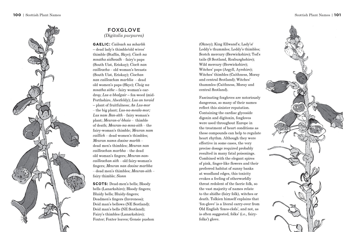 Scottish Plant Names - An A to Z