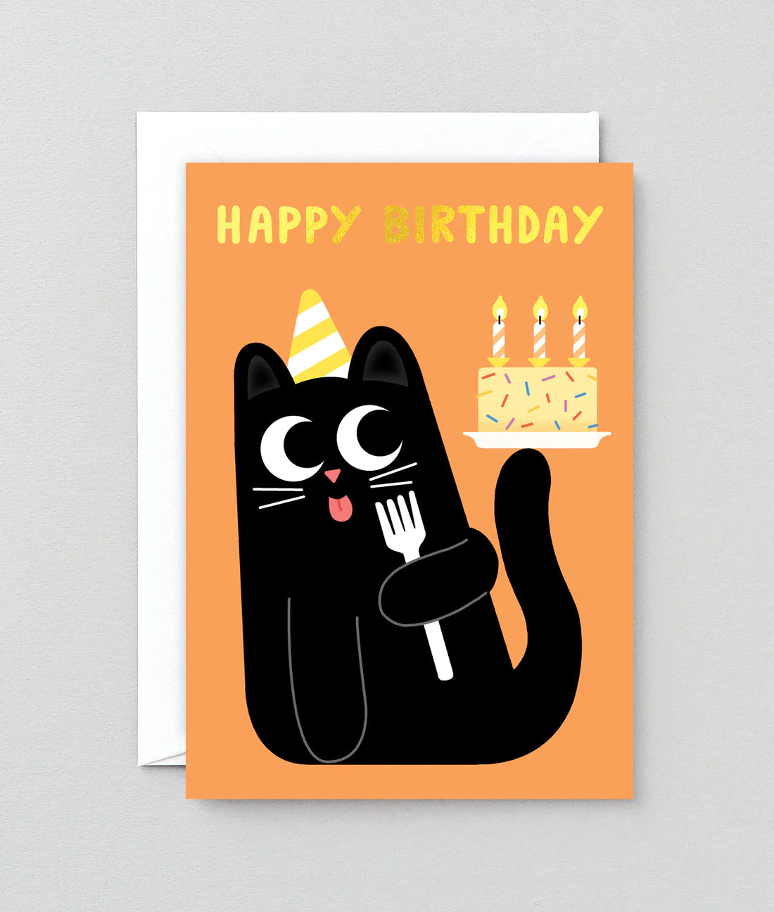Happy Birthday Cake and Cat
