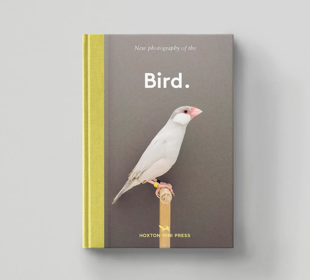 New Photography of the Bird
