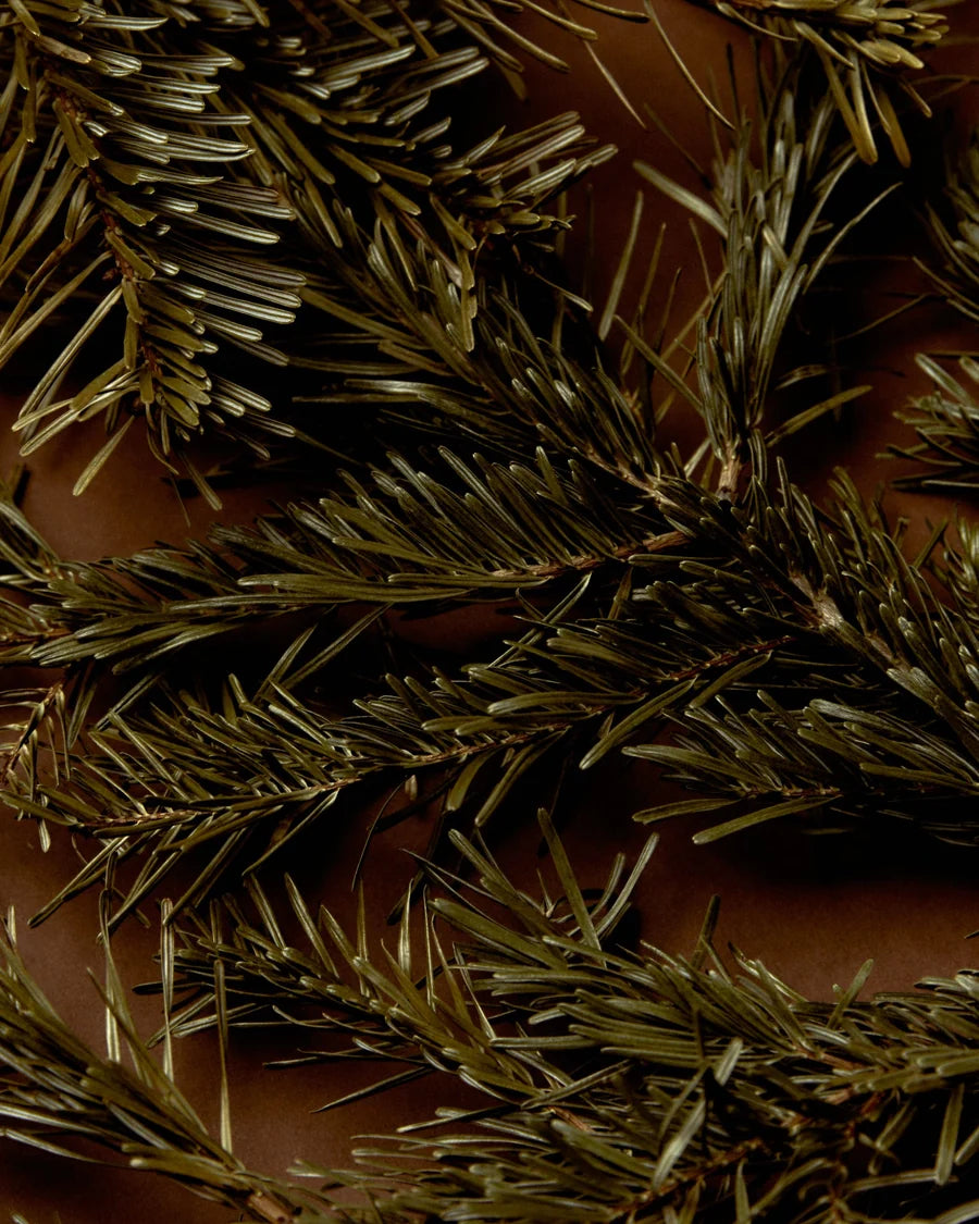 Smoke & Musk Incense Sticks