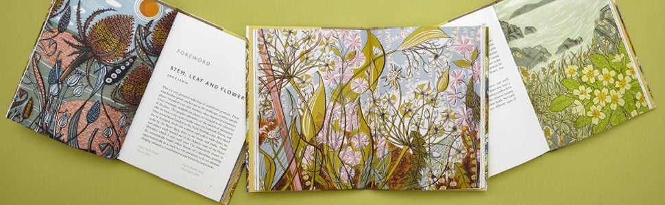 The Book of Wild Flowers: Reflections on Favourite Plants (signed by author & artist)