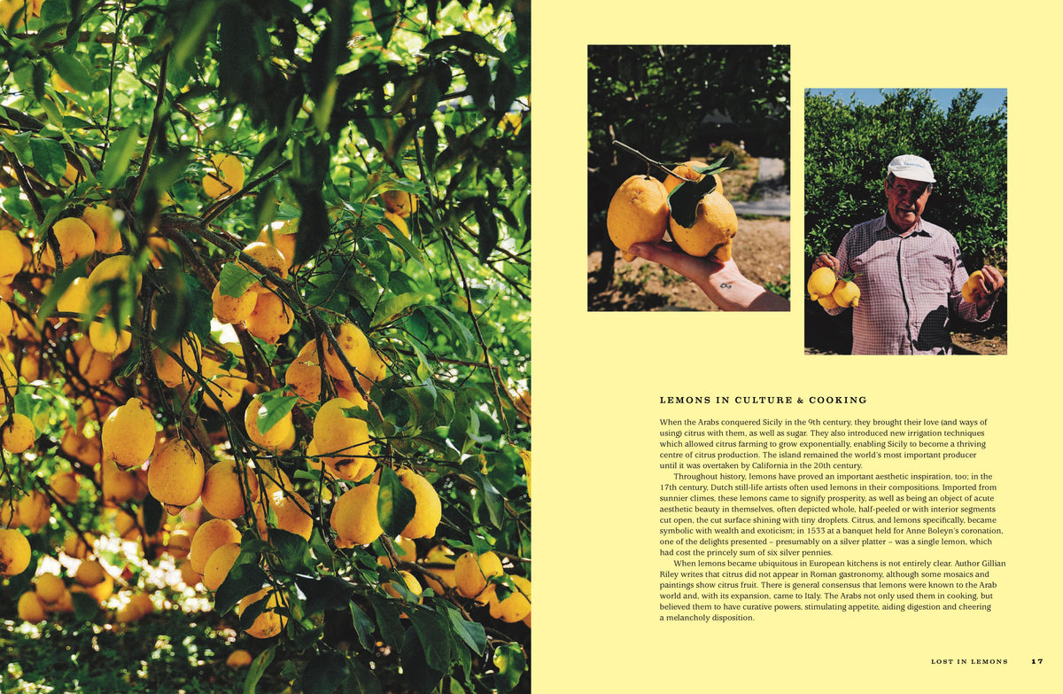 FOR THE LOVE OF LEMONS: ITALIAN INSPIRED SWEET/ SAVOURY (HB)