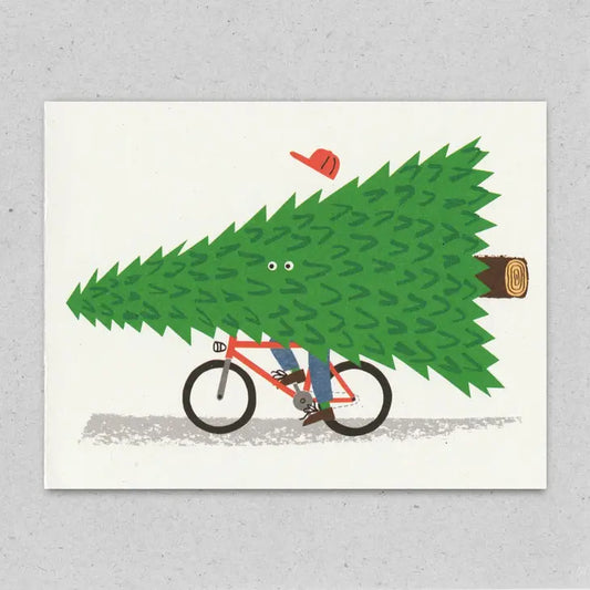 Seasonal Cyclist