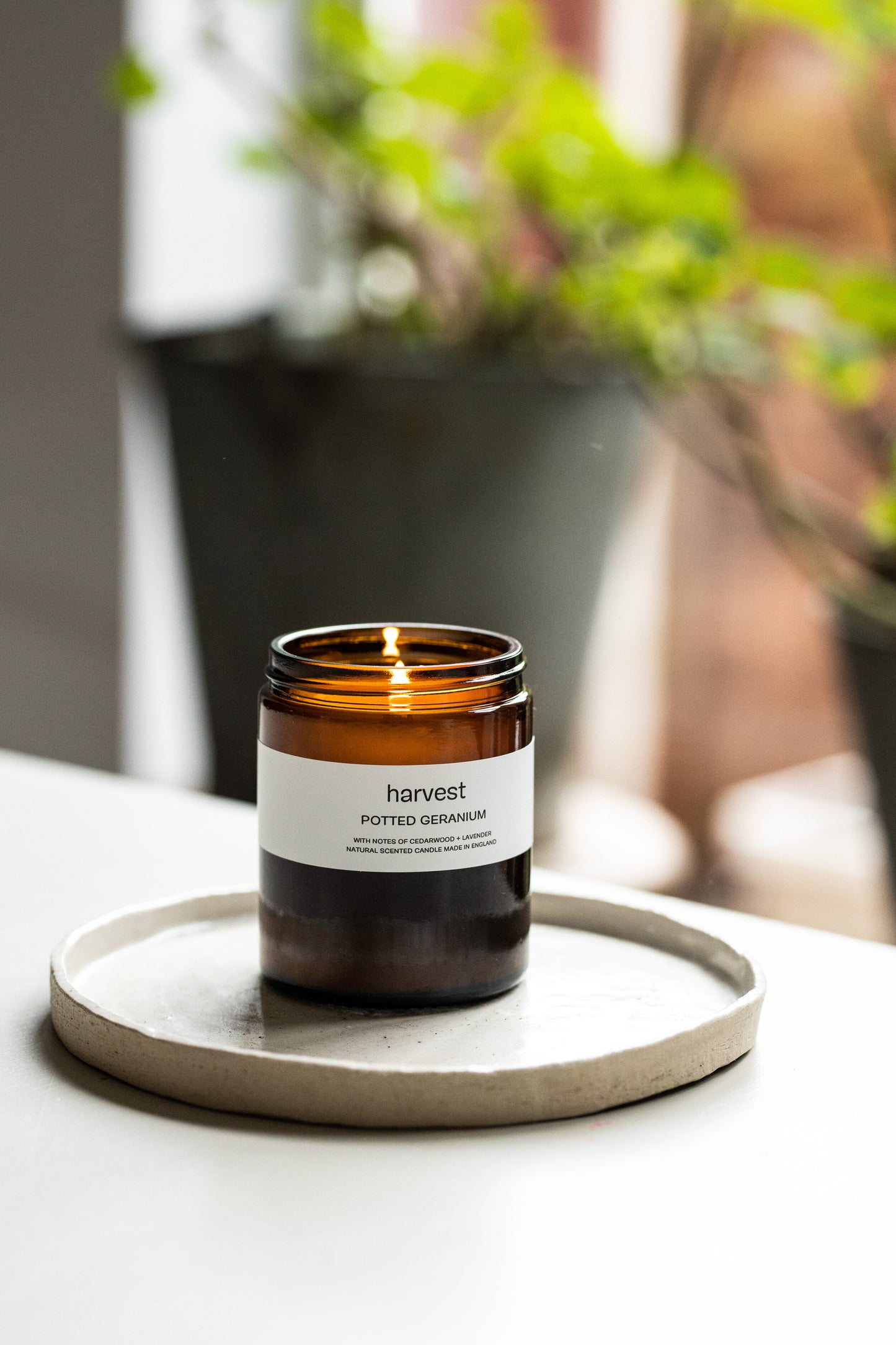 Potted Geranium candle