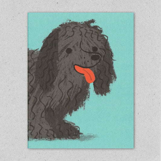 Shaggy Dog
